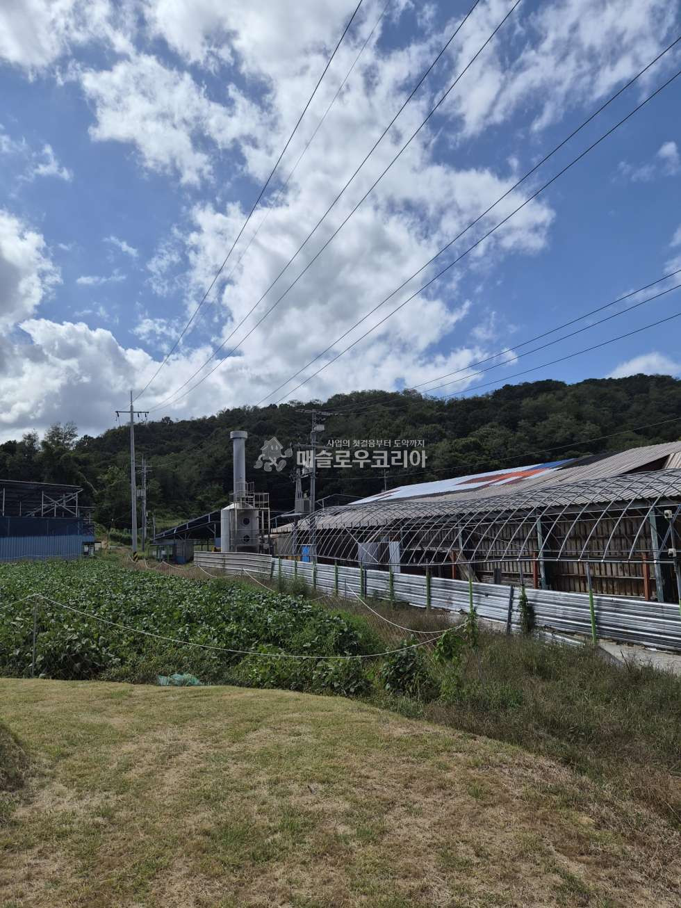 충북 보은군 보은읍 용암리 309 (공장) 주1,주2,주3,주4,주건축물제5,주건축물제6동 보은군 가축분뇨재활용공장 매매 매매 매물번호 10158 사진 10