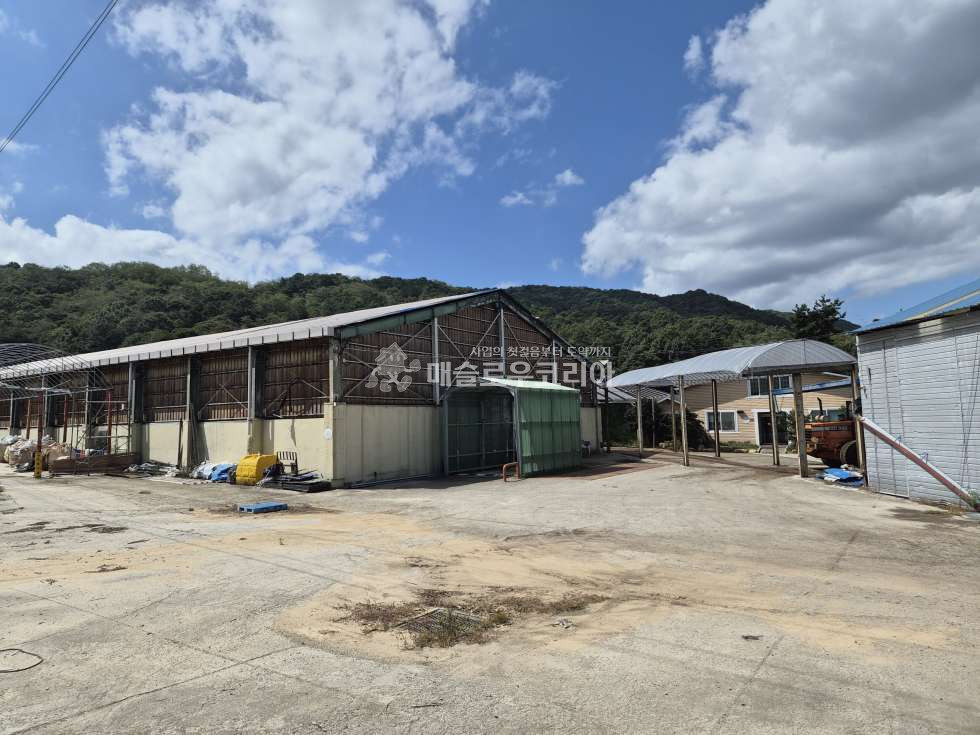 충북 보은군 보은읍 용암리 309 (공장) 주1,주2,주3,주4,주건축물제5,주건축물제6동 보은군 가축분뇨재활용공장 매매 매매 매물번호 10158 사진 11